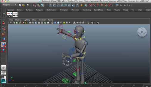 norman rig for character animation